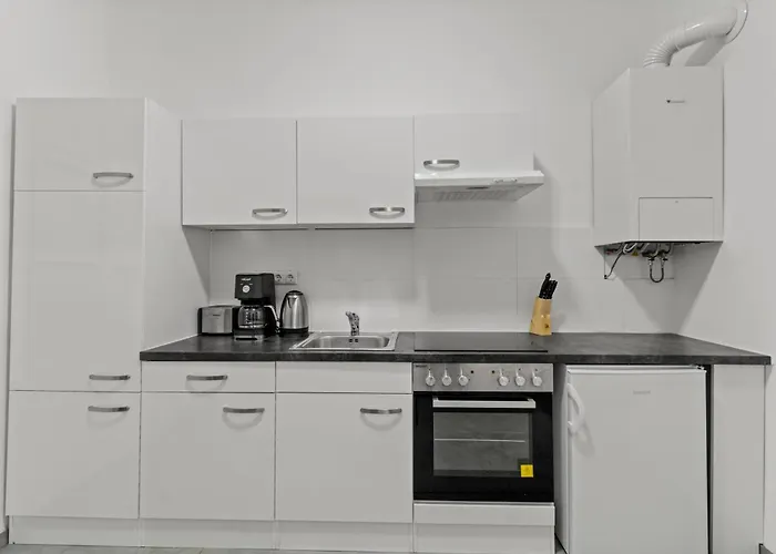 Close To Danube And Wiener Riesenrad Apartment Vienna