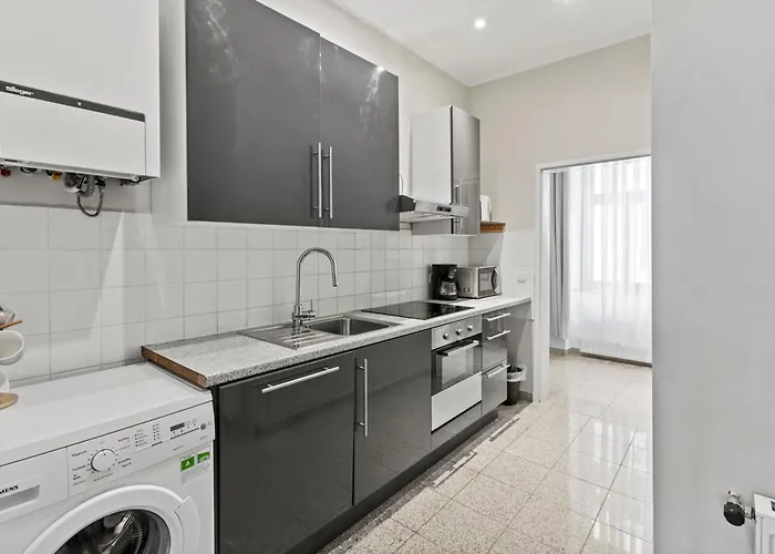 Apartment Close To Danube And Wiener Riesenrad *